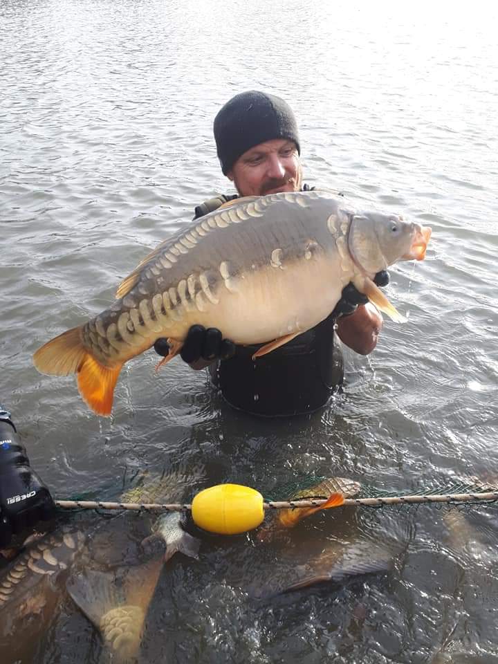FoldFisheries's tweet photo. A couple of new 20's, that rocked up in the bottom lake netting last week. https://t.co/qJ7mvZNa0p