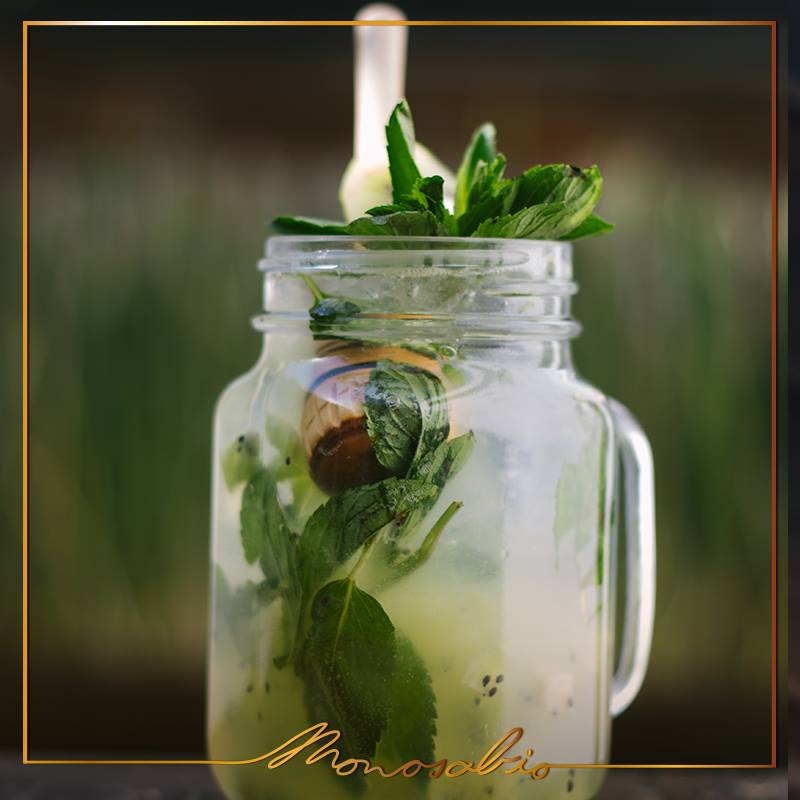 ¡Los mejores cócteles los encuentras con nosotros!
Kiwi, yerbabuena, azúcar, soda y Gin Tanqueray