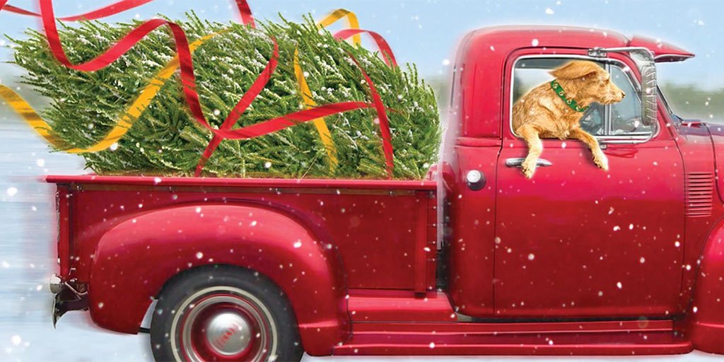An illustration of a red truck with a dog leaning out the passenger window and a Christmas tree in the back, snow falling, ribbons swirling off the tree