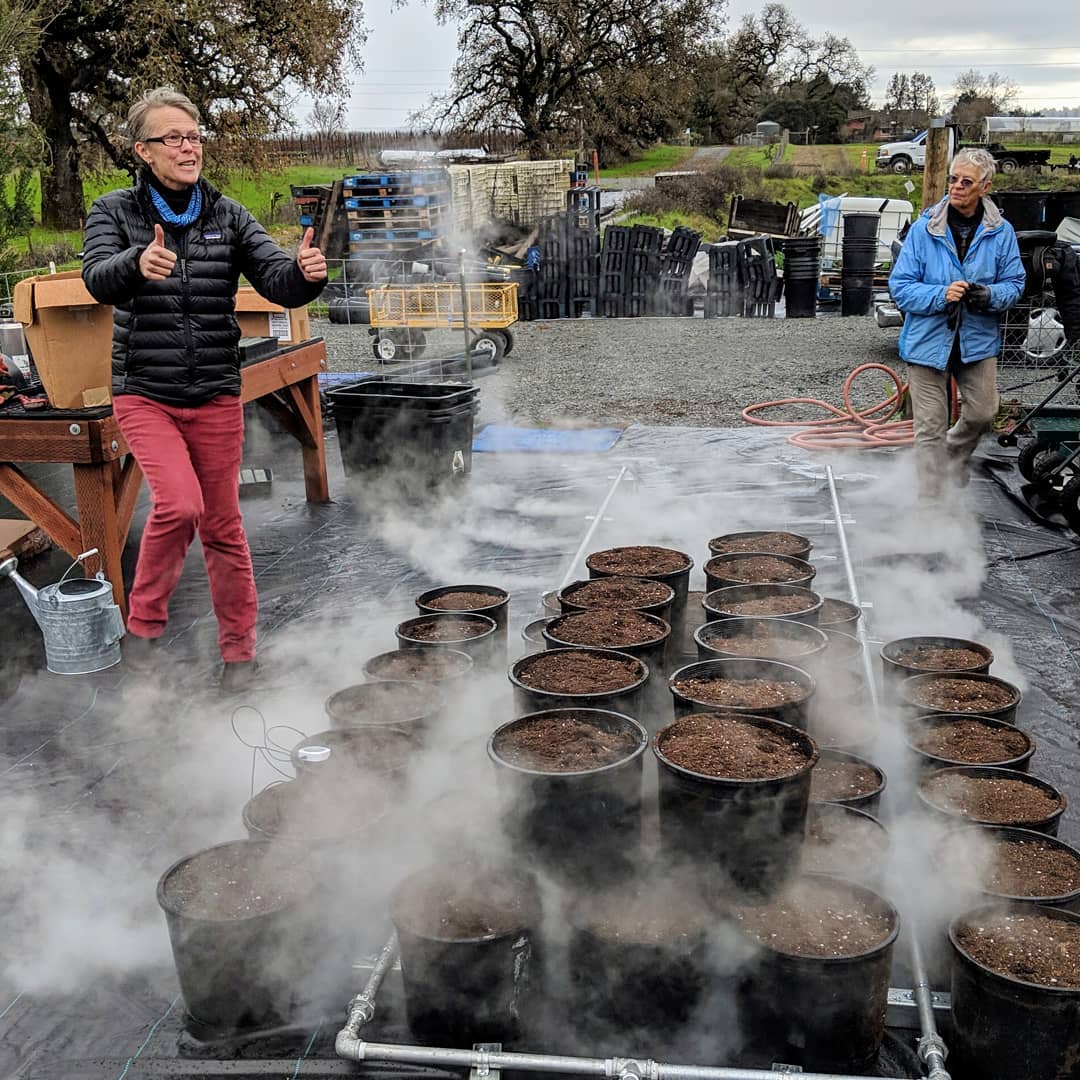 We celebrated #WorldSoilDay by heating potting soil with steam - and the experiment was a great success! Steaming the soil destroys weed seeds and pathogens from diseased plants. This pasteurized soil will now be used to grow native plants in our nursery.