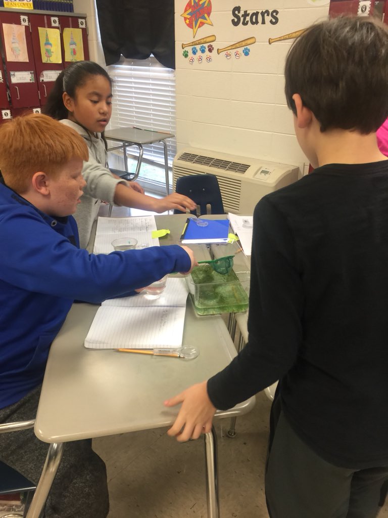 Melissa Machen tweet media