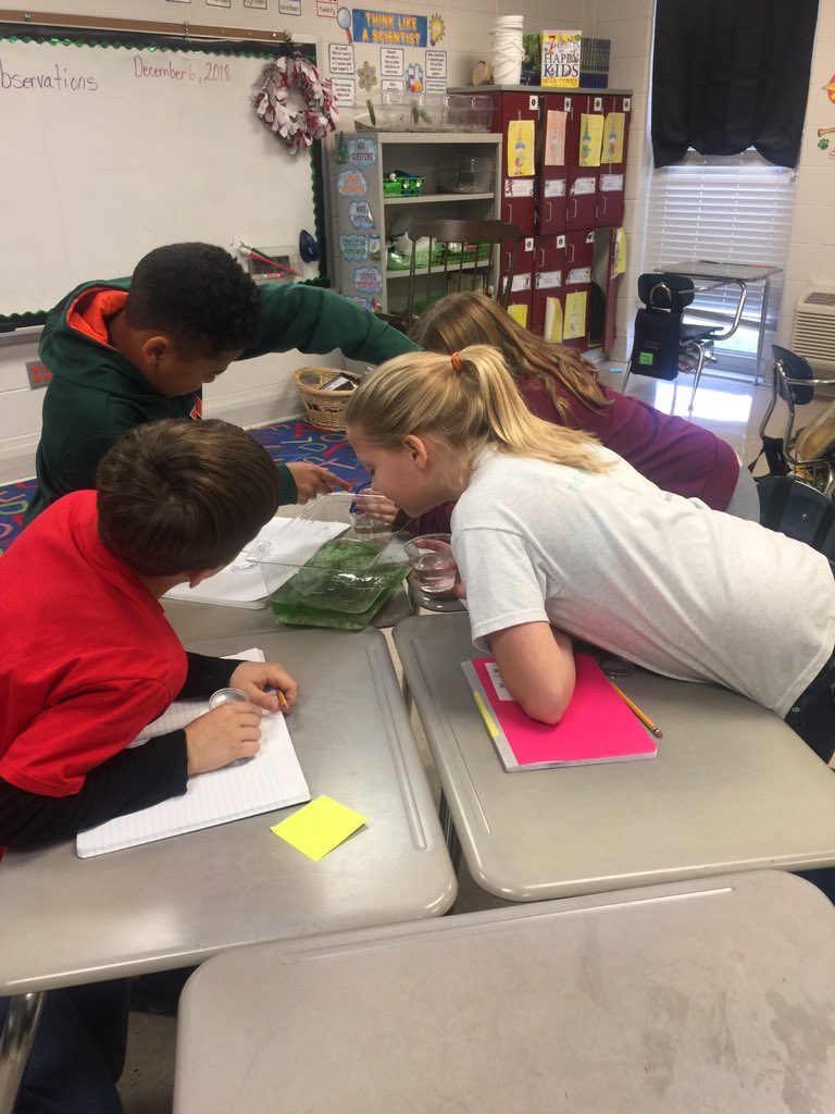 Melissa Machen tweet media