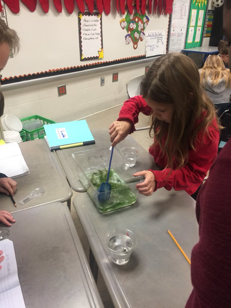 Melissa Machen tweet media