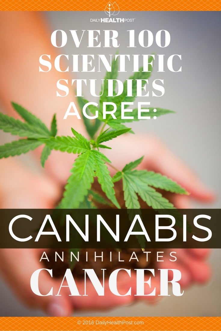 From headaches to nausea to anxiety, #cannabisheals but perhaps most exciting is the early evidence that cannabis can reduce and block cancer cells.