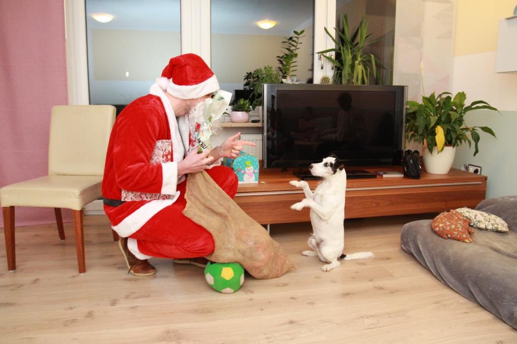 jani5700's tweet photo. Still the best Job in the World 🎅🏼❤️ #recruiting #lovewhatyoudo https://t.co/POKHS0NK69