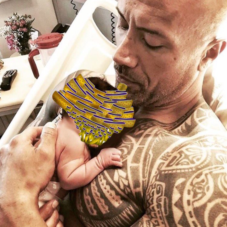 RuffErRulez's tweet photo. Me and my father reminding you to #VoteroughEr https://t.co/YybSvpYQb2