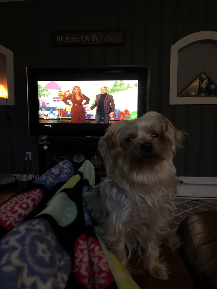EmilyCMathison's tweet photo. my dogs mad we’re not at @TheEllenShow https://t.co/5eQGafzDtv