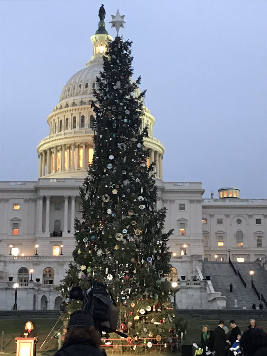 TracktheTree's tweet photo. It’s almost time!!! #TrackTheTree https://t.co/Ob7CVHBJ5r