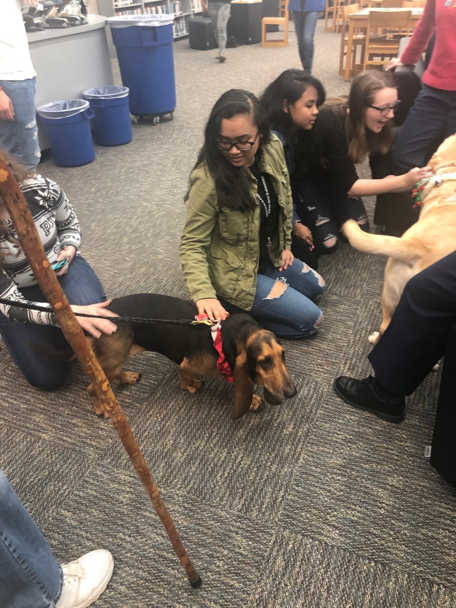 FDHSCommons's tweet image. Wellness Week Update2: More cute dog pics 😁@DD2Wellness @FDPatriot @FDHSCounseling