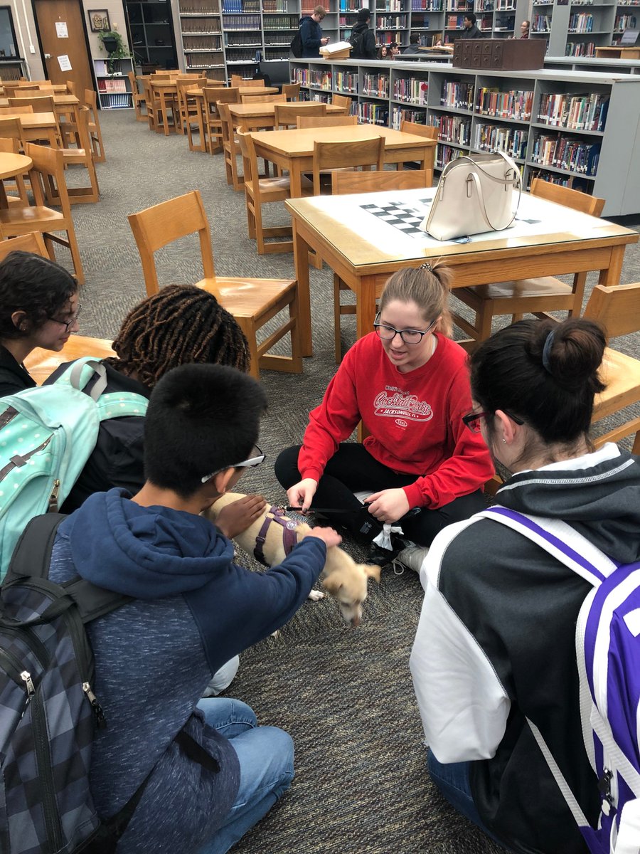 FDHSCommons's tweet image. Wellness Week Update2: More cute dog pics 😁@DD2Wellness @FDPatriot @FDHSCounseling