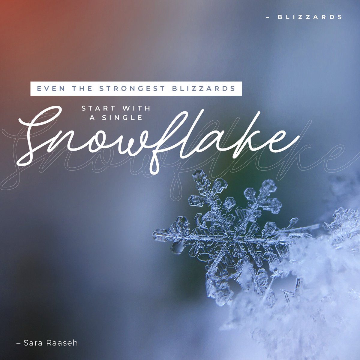 Developrise tweet media