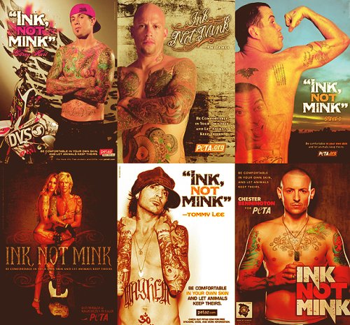 naturalbeings01's tweet photo. @MonittP @ChesterBe Please help and say #NoToFur #InkNotMink
https://t.co/Cw47oa94Zz https://t.co/zTYBZkSpcG