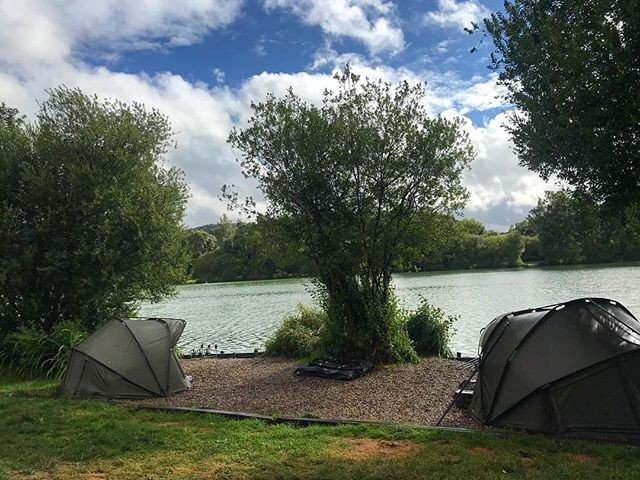 SSP Baits tweet media