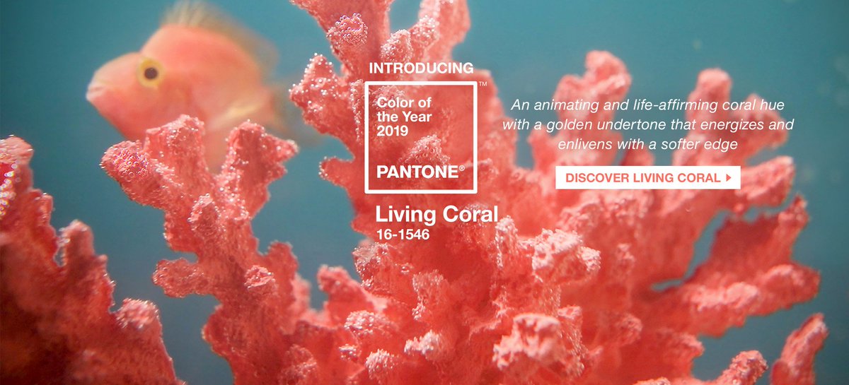 bellari63's tweet photo. “Mere color, unspoiled by meaning, and unallied with definite form, can speak to the soul in a thousand different ways.”~Oscar Wilde Pantone Color of the Year Living Coral https://t.co/ngCBHSbfL1 #pantone https://t.co/Wp3V2Nlid1