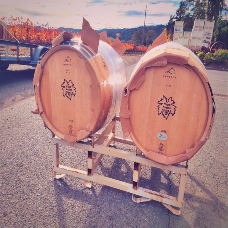 Napa Native tweet media