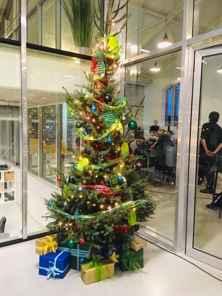 WTF the most wonderful time of the year 🌲 🎁 🔥