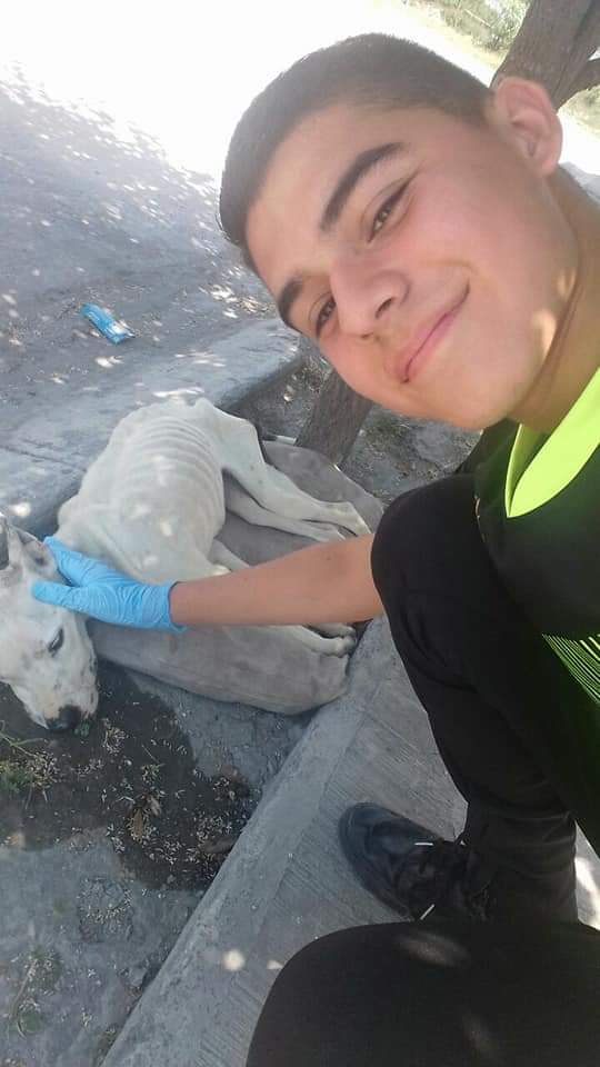 israel_villa10's tweet photo. No lo puedo creer, hace 6 meses que te salve la vida, y hoy estas disfrutando de ella, te amo con todo mi ser😭❤ https://t.co/1S5dhKOo0r