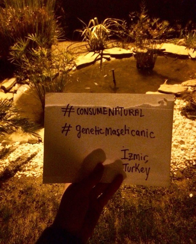 GeneticsEd's tweet photo. 📍TURKEY! Help us spread our message worldwide!! // #consumenatural #campaign #ethics #genetics #GeneticaMasEticaNC #genéticamáséticaNC #naturalisbetter https://t.co/B8EFFOKAAE
