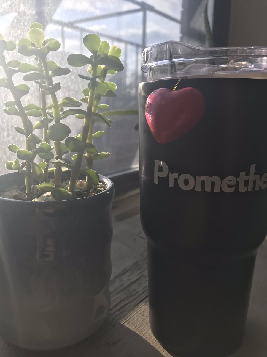 Ryan Thornton tweet media