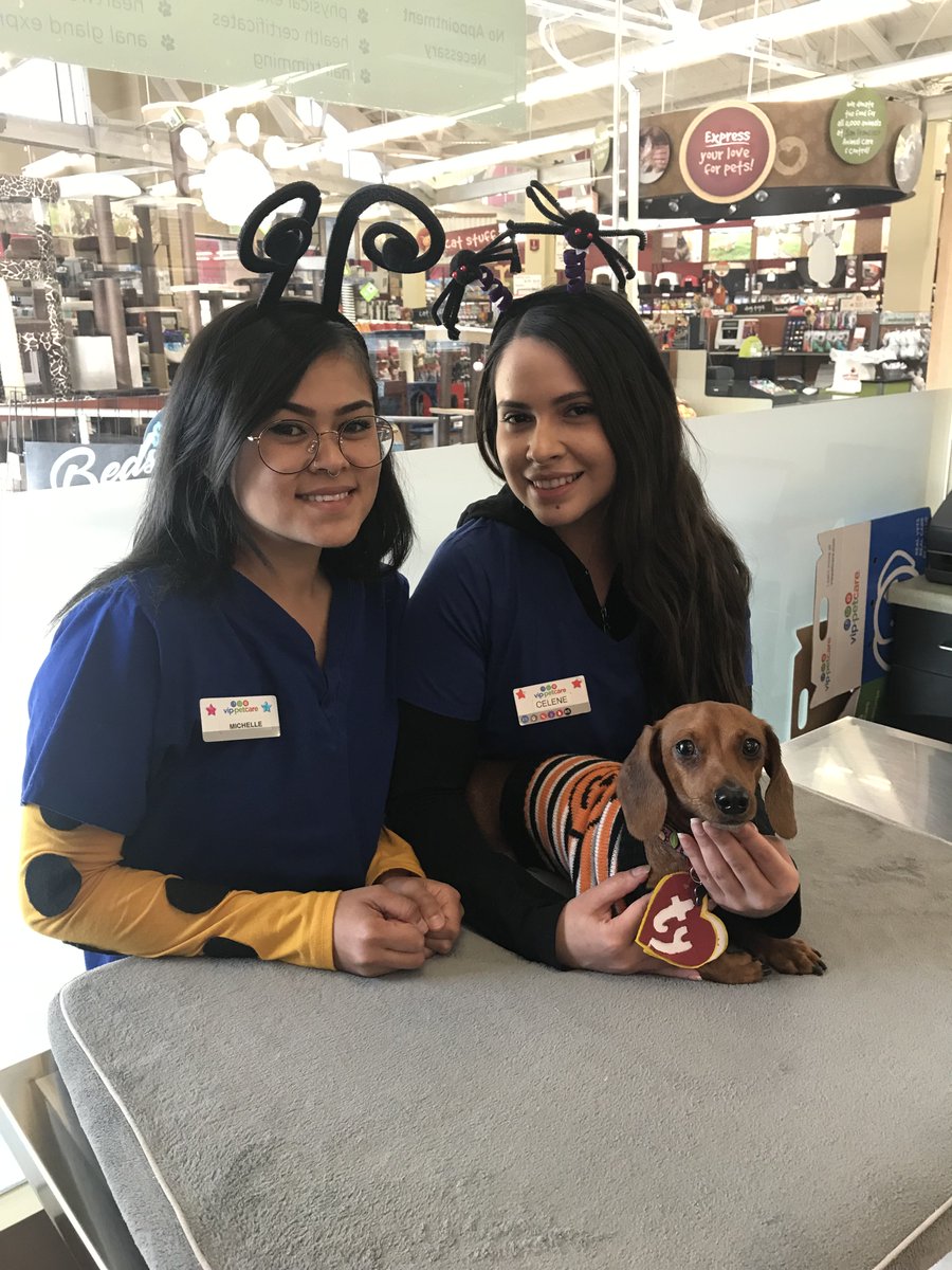VipPetCare's tweet photo. #ThrowBarkThursday to when Clementine visited our San Francisco Wellness Center in October for her annual vaccinations to stay #healthyhappysafe! #VIPPetcare #TBT https://t.co/yfMAhcGAhr