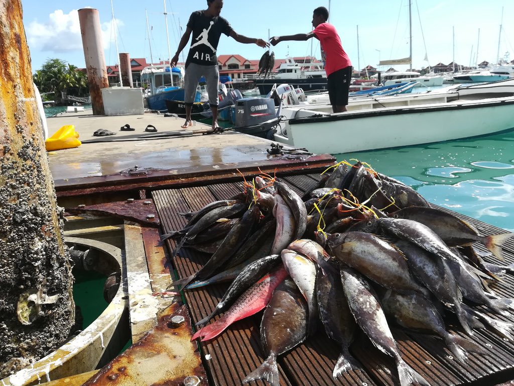 abalobi_app's tweet photo. 🇸🇨 SEYCHELLES 🌴
Exciting milestone as @abalobi_app & #fromhooktocook officially launched in #Seychelles this week! 🎉
We registered the first Seychellois #smallscalefishers & restaurants via a co-designed customised version of @abalobi_app | Read More 👉https://t.co/ytogw4MHpt https://t.co/wHgZ7ezX7B