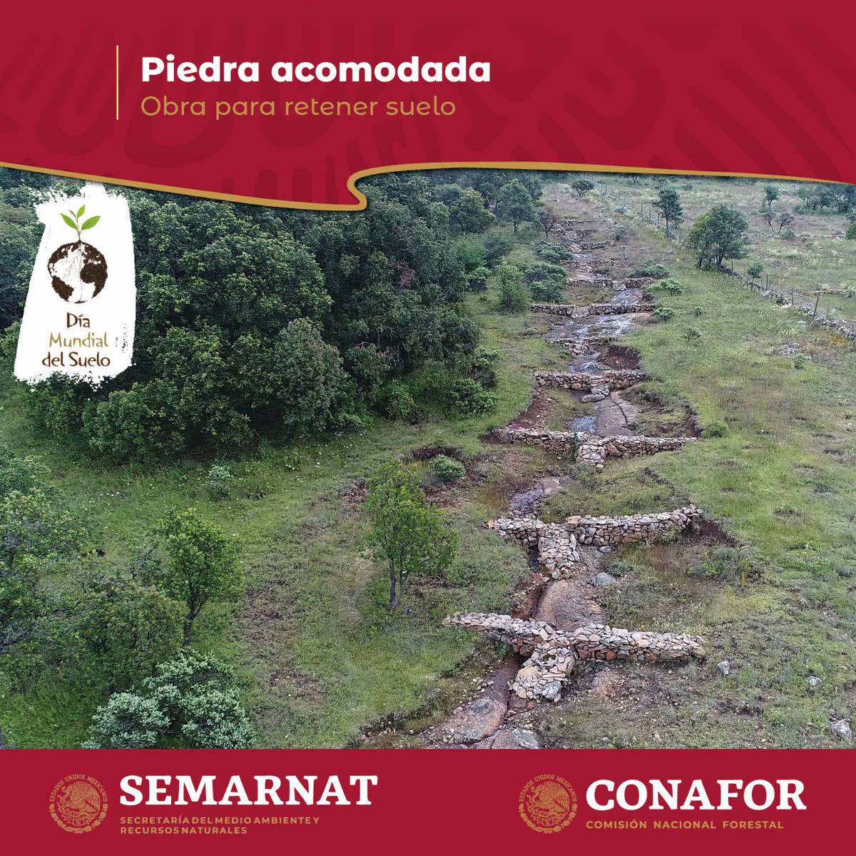 CONAFOR's tweet photo. ¿#SabíasQue la #reforestación y otras técnicas como la construcción de barreras de piedra acomodada permiten recuperar suelos empobrecidos o contaminados? En la @CONAFOR apoyamos estas acciones con recursos del #PRONAFOR. #FelizJueves 🌳✅ https://t.co/wQ4gY7RA29