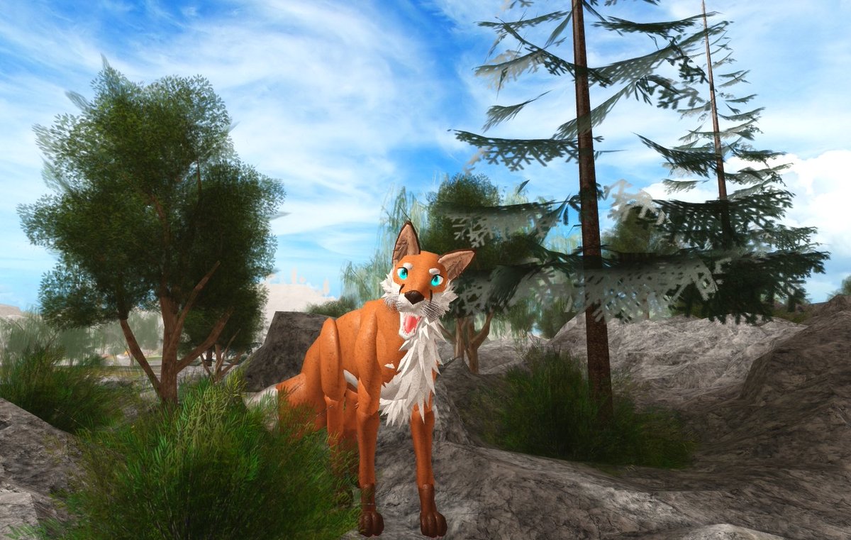 Shyfoox On Twitter Just Finished My First Fox That Was Made In - cat s life roblox