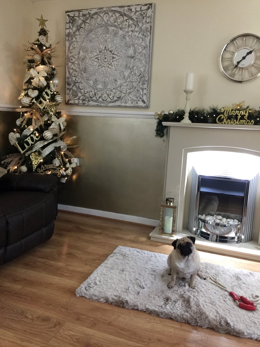 pixie_pug's tweet image. Christmas time 🎄❤️ #pugmas #ChristmasIsComing #ChristmasTree