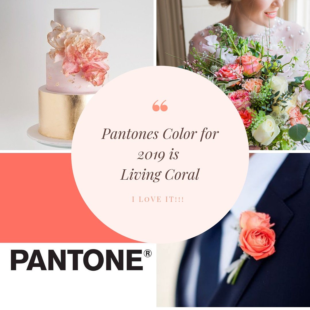 Emma Turner Weddings tweet media