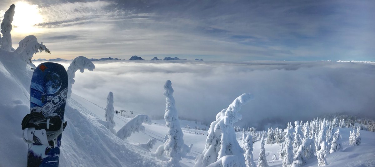 SHRED_ENT's tweet photo. We cannot wait to get back to revelstoke mountain this weekend for more pow days like this @revelstokemtn @SignalSnowboard @ovaneyewear #signal_life #revelstoke #powderhighway #kootrocks https://t.co/gxox7Ic4U9