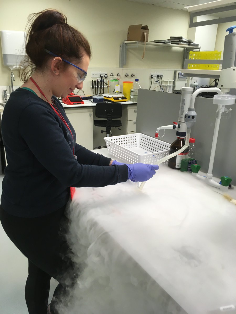 DouganGroup's tweet photo. Extremely proud of Matt Hughes, Harry Laurent &amp; Sophie Cussons delivering their exciting new Rheo-SANS experiments @isisneutronmuon #TeamExtremeOnTour https://t.co/Gy6x1iRJK8