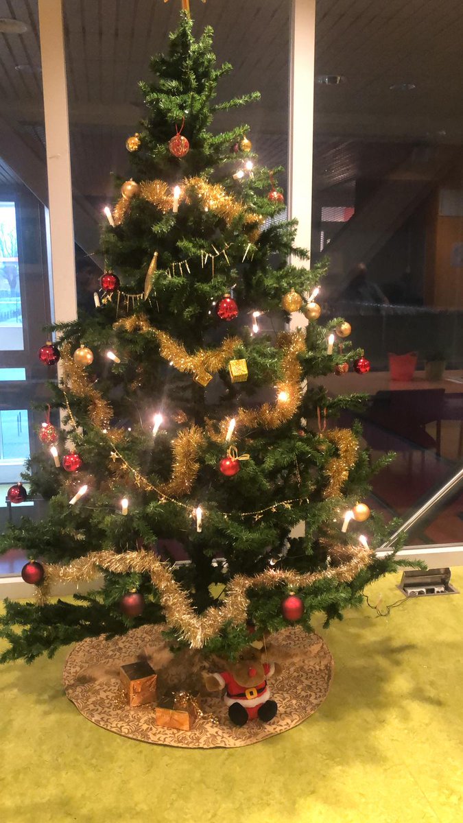 Wijkleerbedrijf Ondiep helpt de Speler met de kerstversiering.