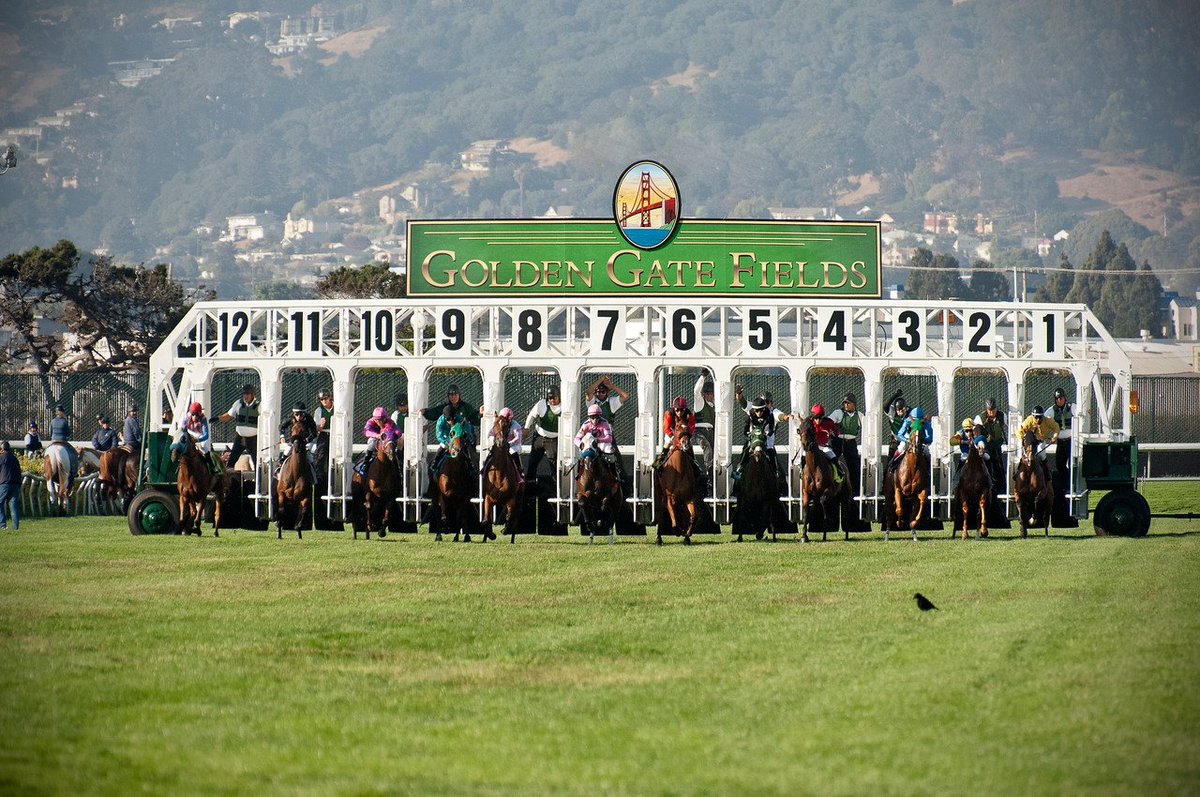 santaanitapark's tweet photo. Don's miss the mandatory payouts at @GGFracing this Sunday, closing day for the fall meet! #GGFracing https://t.co/QdQnpxiDm6