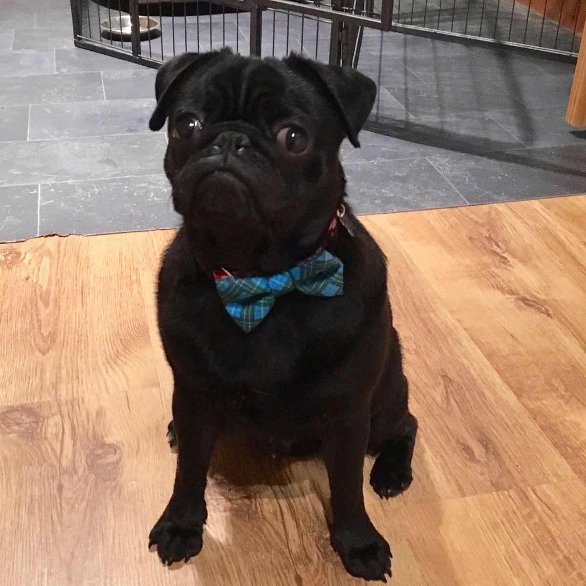 Mr B | Teacher tweet media