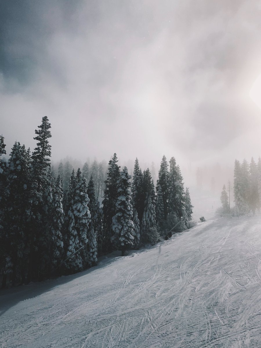 Chef_Carnahan's tweet photo. the mountains are calling 🌲 #iphonesnaps https://t.co/EA4IhKrJiG