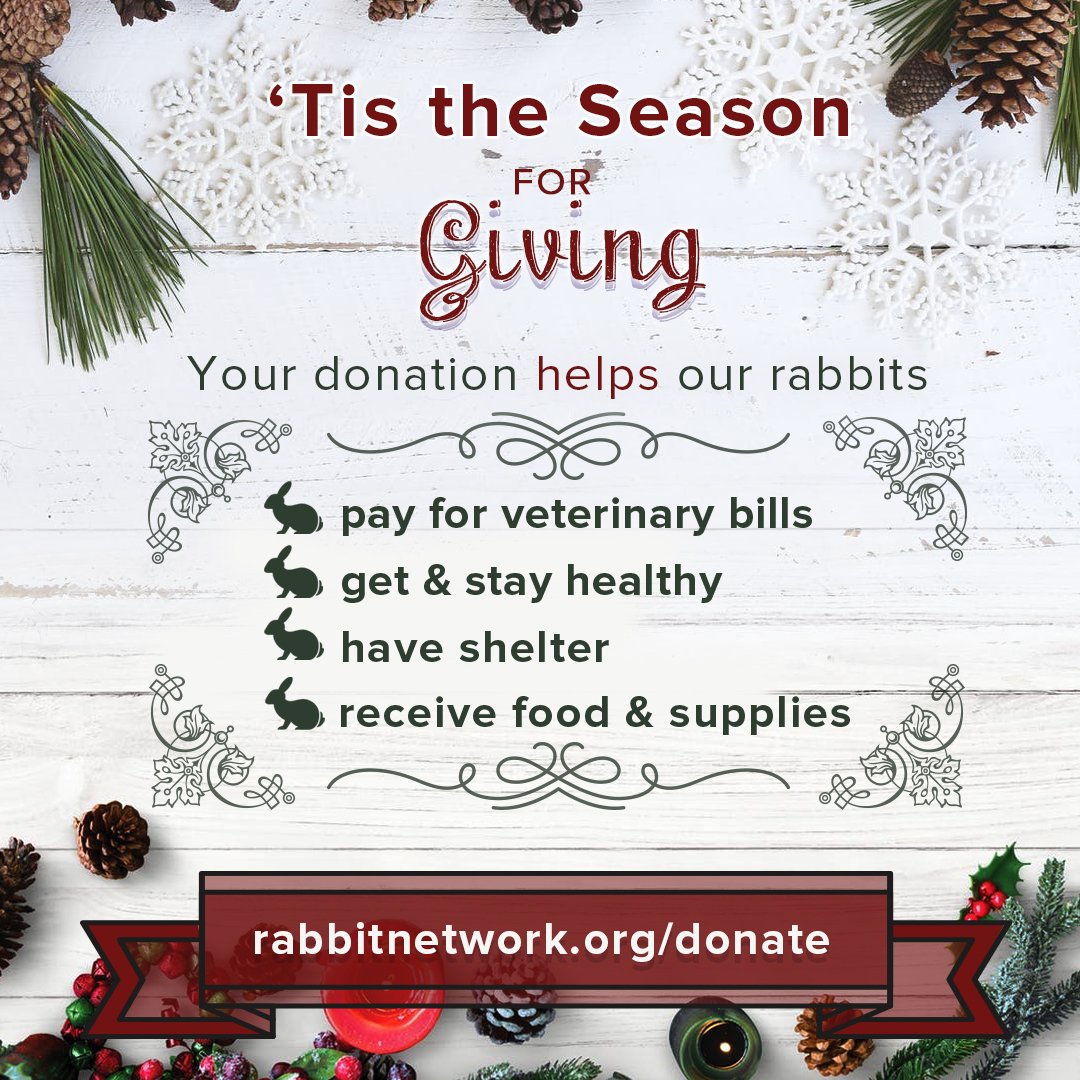 RabbitNetwork's tweet photo. Every bunny deserves a second chance. Thanks for helping us do just that during the Holidays! https://t.co/PyL6nrRs8k #HouseRabbitNetwork #GivingSeason #HappyHolidays #BunnyRescue #HRN #Roofs4Rabbits #AnimalRescue #RabbitRescue https://t.co/XNP79OJ3HU