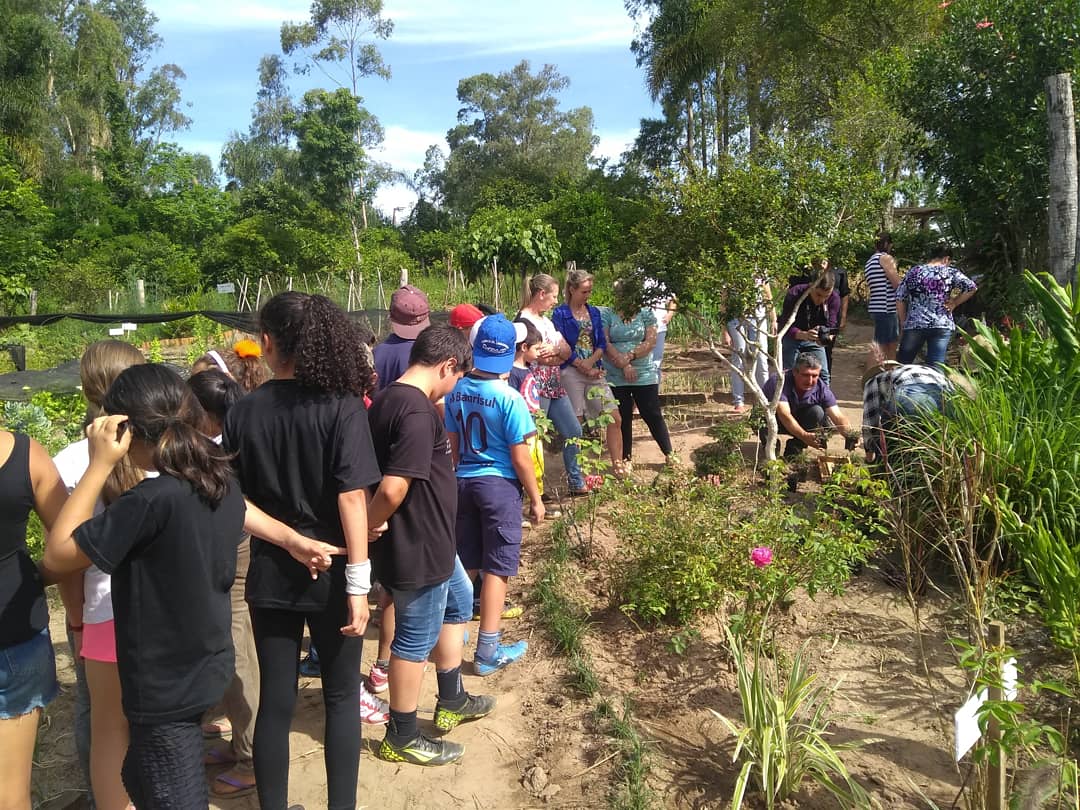 phenoglad1's tweet photo. 🌻🌸 Hoje gravamos sobre jardinagem em uma escola rural de ensino fundamental /Today que filmed about gardening in an elementary rural school. We taught students how a mixed border can bridge the garden with the landscape.

#mixedborders #gardening #phenoglad https://t.co/OOw2dGsNxs