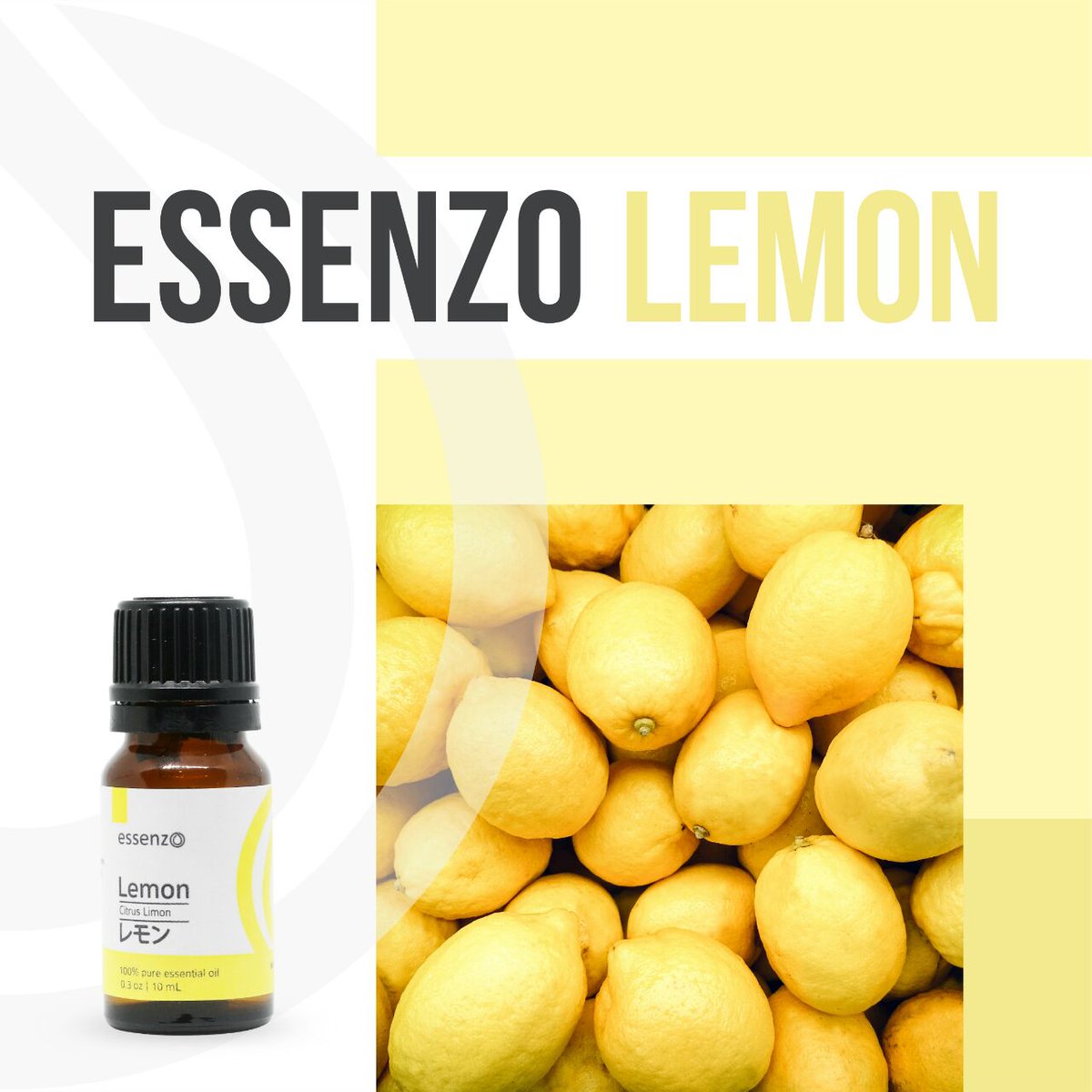 UmatulKh's tweet photo. Info lebih lengkap tentang Demam &amp; Lemon Essential Oil, silakan klik link berikut:
Wa: 081286269682

https://t.co/pV6o6VNORw

#essenzo#essentialoil#minyakatsiri#lemonial#sehat#alami#praktis#pemutihgigi#relaksasipikiran#pembersihwajahalami#resellerwelcom https://t.co/PpvqMvmaOJ