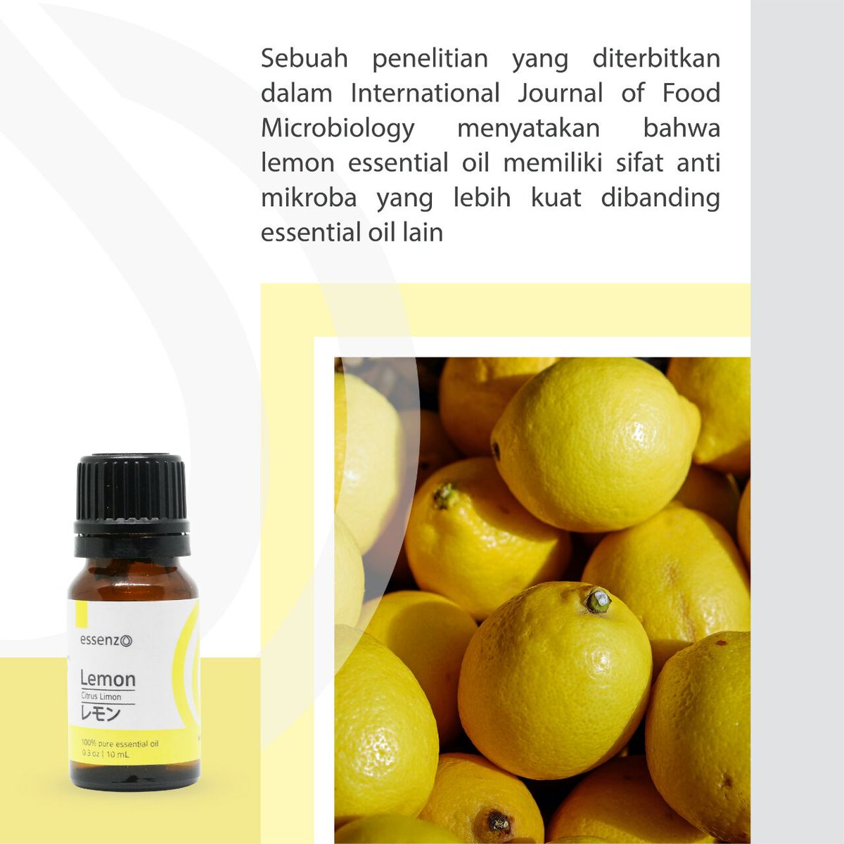 UmatulKh's tweet photo. Info lebih lengkap tentang Demam &amp; Lemon Essential Oil, silakan klik link berikut:
Wa: 081286269682

https://t.co/pV6o6VNORw

#essenzo#essentialoil#minyakatsiri#lemonial#sehat#alami#praktis#pemutihgigi#relaksasipikiran#pembersihwajahalami#resellerwelcom https://t.co/PpvqMvmaOJ
