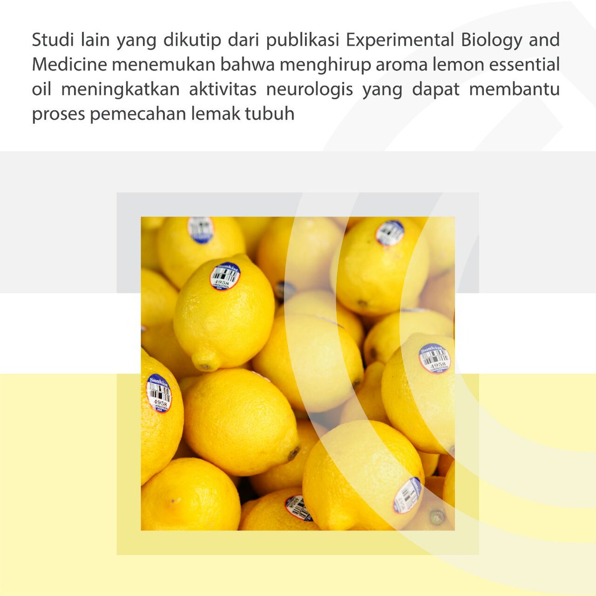 UmatulKh's tweet photo. Info lebih lengkap tentang Demam &amp; Lemon Essential Oil, silakan klik link berikut:
Wa: 081286269682

https://t.co/pV6o6VNORw

#essenzo#essentialoil#minyakatsiri#lemonial#sehat#alami#praktis#pemutihgigi#relaksasipikiran#pembersihwajahalami#resellerwelcom https://t.co/PpvqMvmaOJ