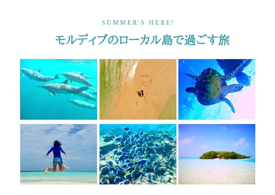 NMaldives's tweet photo. 2019年4月〜6月滞在の方限定‼️

モルディブローカル島ゲストハウス3泊+リゾート水上コテージ1泊  
2名様1室 お一人様USD790〜

☆朝食•アクティビティ•国内移動費込み
※航空券は含まれておりません

詳細はhttps://t.co/6jECDyho9Cのお問い合わせページ又はLINE@:@uet1346bからご連絡ください(^.^) https://t.co/rWSv2b8YhA