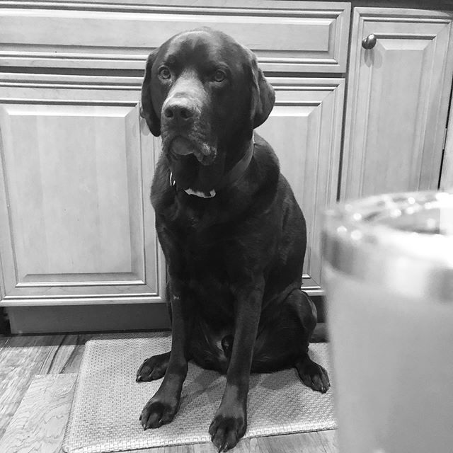 I don’t know why Steve always gets that pensive, far off look when I take his picture. He doesn’t have a serious bone in his body. ift.tt/2L5aYS8