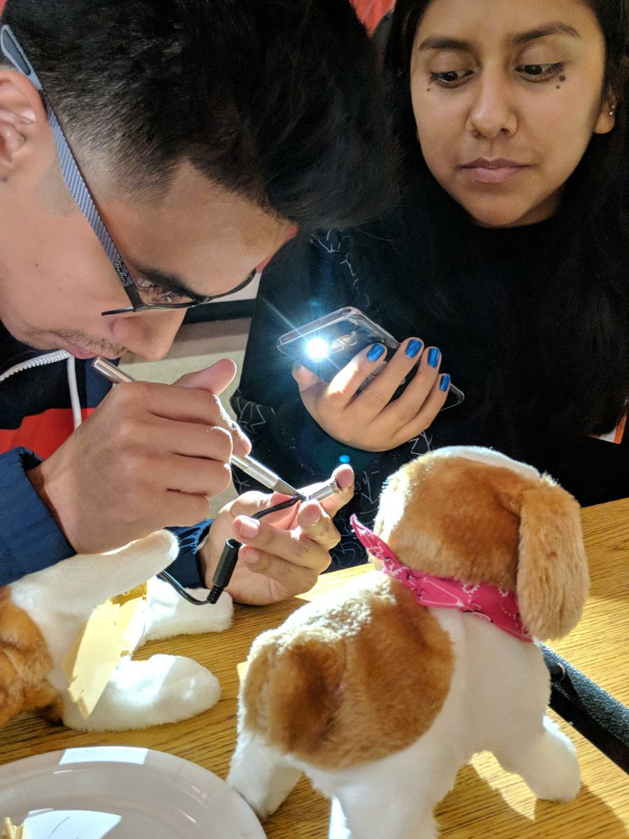 Students hard at work volunteering at TOYS4ALL! We appreciate all the hard work of the volunteers these past few nights #wearelbusd #adaptation #ALLMEANSALL #longbeach #onelove #toyhacking #welifteachotherup #ProudtobeLBUSD #lbusdtoys4all2018 @LBUSDATeam #flashlighthack