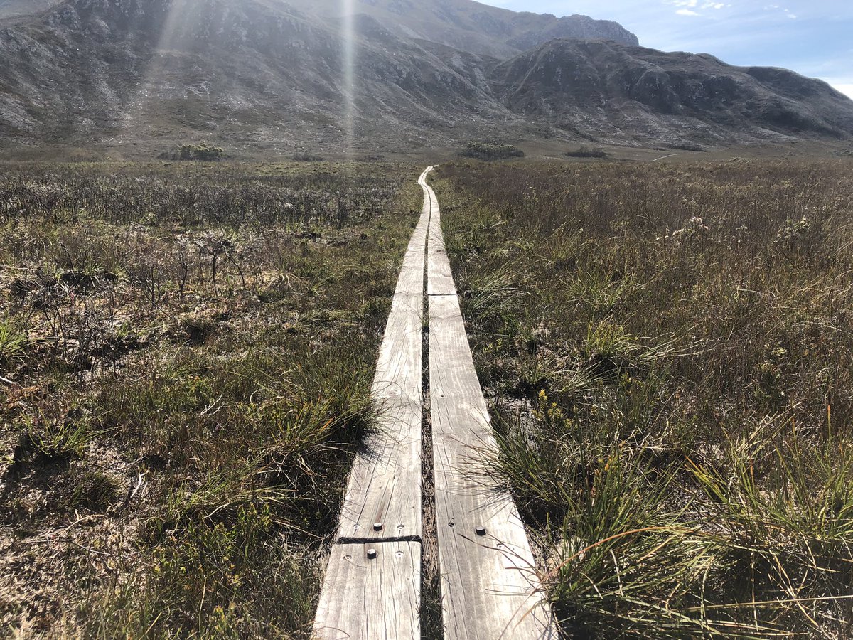 teamswiftparrot's tweet photo. Back from #operationobp & breeding is underway by orange-bellied #parrots - also weβve been looking at food regeneration post ecological burn π¦π₯πΌπ΄ https://t.co/tC1j6BYKdn