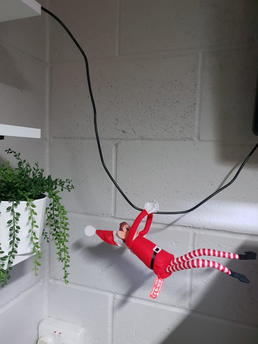 He's in!!!!
#teamernulf #naughtyelf