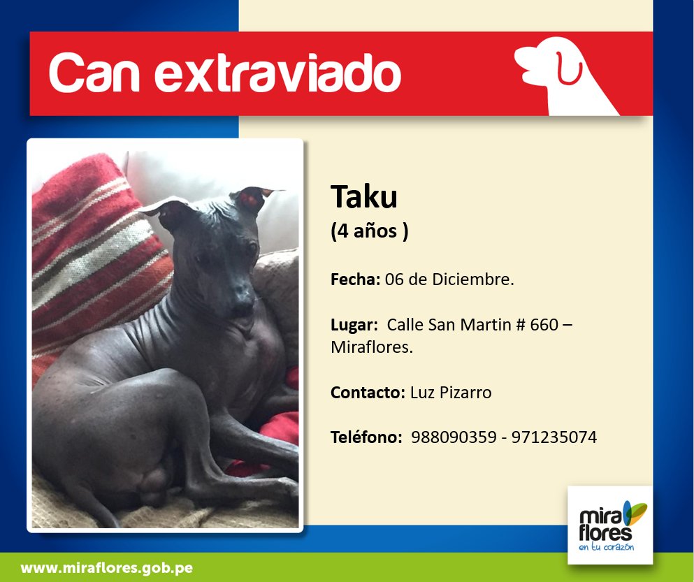 miraflores24h's tweet photo. #CanExtraviado Dale RT y Difunde por favor, ayudemos a Taku a volver a casa. https://t.co/wJqkSry1J7