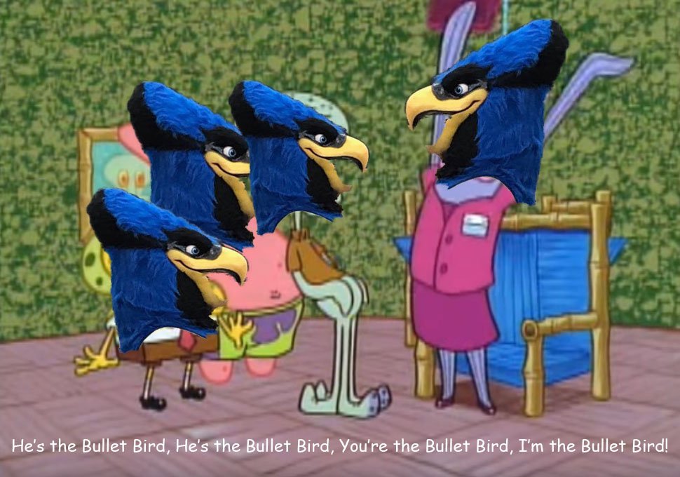 The Bullet Bird tweet media