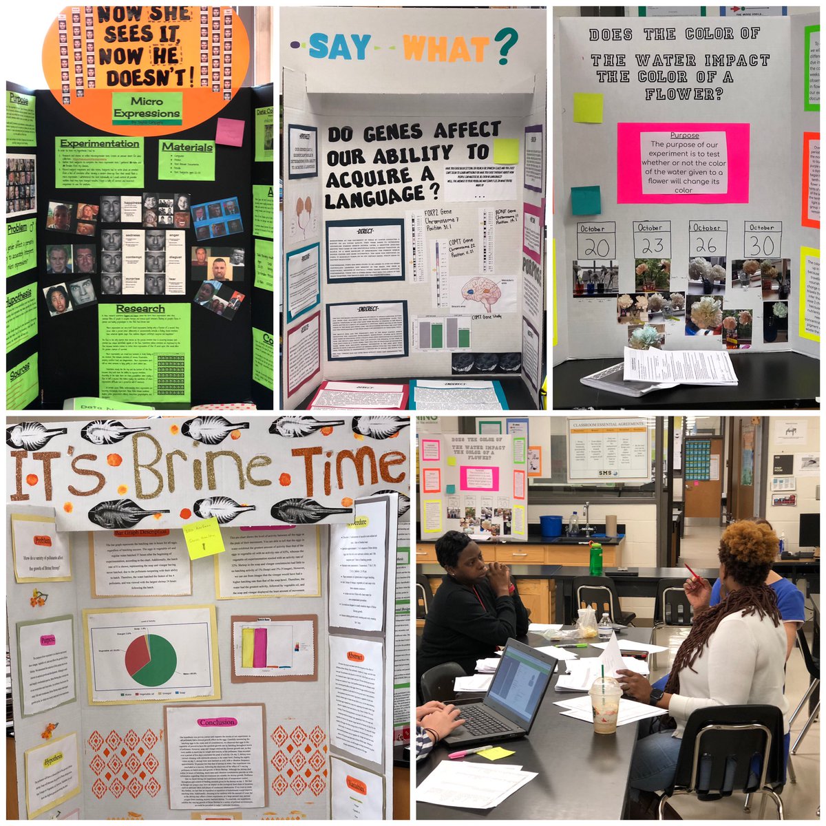 SuttonMYP's tweet photo. Our 💥🌍Individuals &amp; Societies🌏 &amp; 🔬Science🧬💥 @SuttonMiddle Learners demonstrating their learning in our @apsupdate #OneFair‼️ @SuttonPrincipal https://t.co/YsW8Pwt5Km