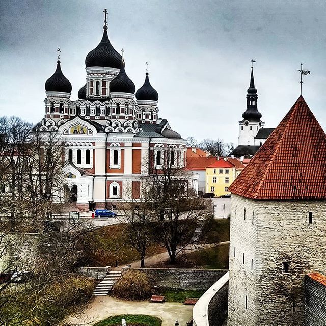 viaggiconme's tweet photo. Le cinque cupole della cattedrale ortodossa di Alexandr Nevskij sono inconfondibili e spiccano dalla collina di #toompea. La cattedrale risale agli inizi del 1900 e gli interni dorati, pieni di icone, sono bellissimi!

#balticstates #estonia #tallinn #ca… https://t.co/5GmjELx2ub https://t.co/jbcJWAAMjf