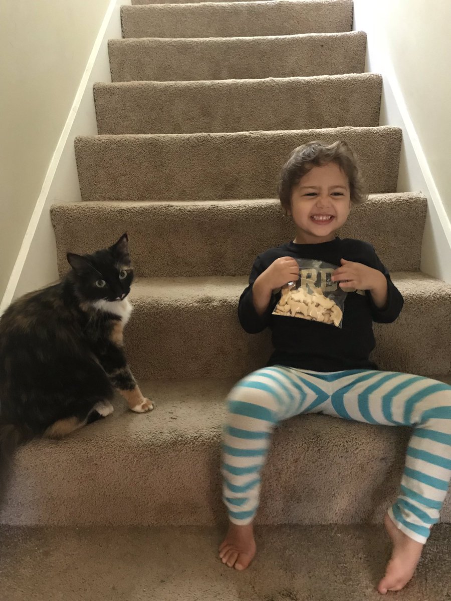 shelberrylynn's tweet photo. Ivy met kids for the first time today and was AWESOME! #proudmama https://t.co/O3DIP0ttD3